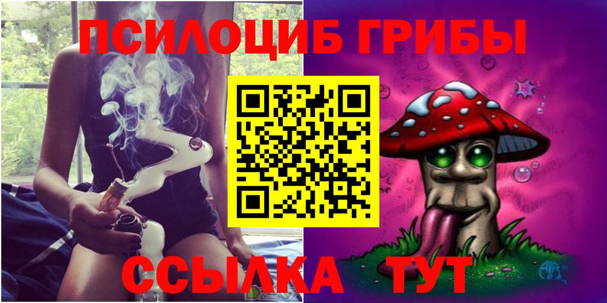 Псилоцибиновые грибы прущие грибы Сланцы