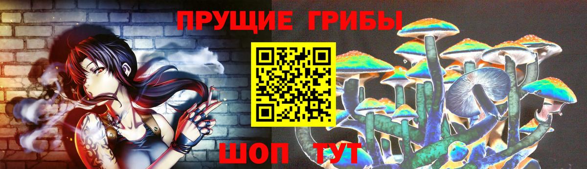 Сланцы  Псилоцибиновые грибы мицелий  где можно купить   Вход с VPN 
